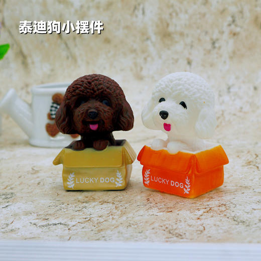 搪胶泰迪狗小摆件 棕色/白色 lucky dog可爱爬箱泰迪小摆件 装饰摆件 商品图0