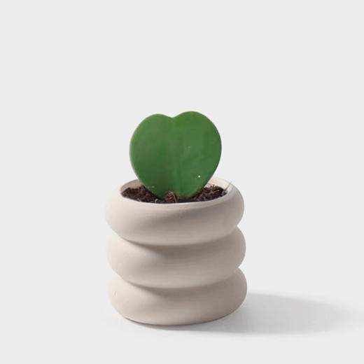 女生节鲜花 “爱心便签” 商品图0