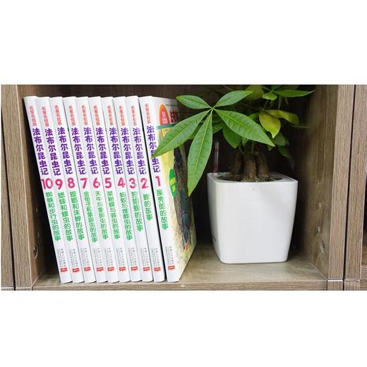 正版 《法布尔昆虫记》全10册 科学经典 文学著作 水彩插画 商品图2