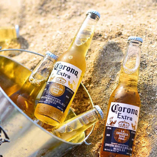 墨西哥丨科罗娜进口黄啤啤酒45vol330ml