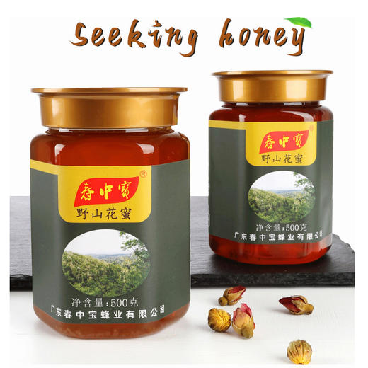 春中宝野山花蜜蜂蜜 500g瓶装 商品图0