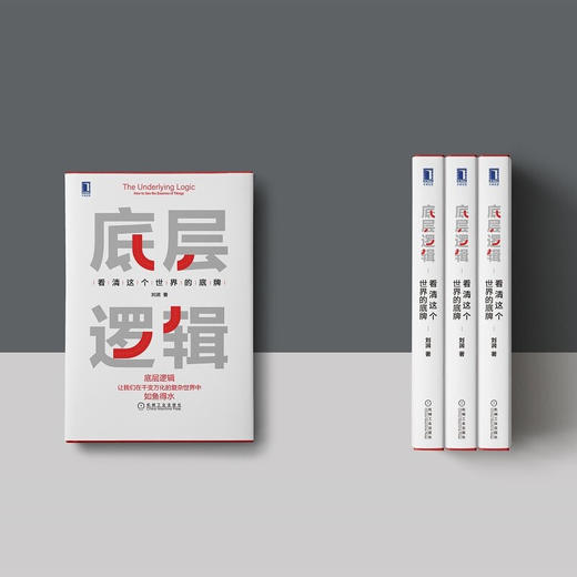 2021年度影响力底层逻辑：看清这个世界的底牌 商品图2