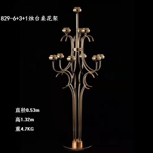 829-6+3+1烛台花架【运费自理】 商品图0
