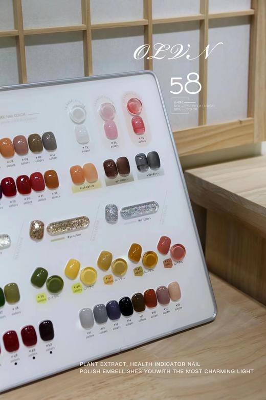 【秒杀价】甲油胶美甲店专用套装58色 商品图2