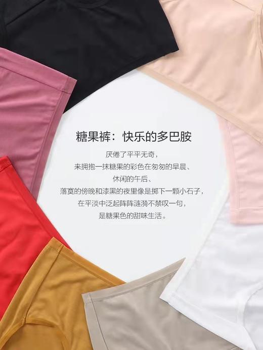 5F EmbryForm安莉芳 简约纯色棉质高腰女士内裤 商品图3