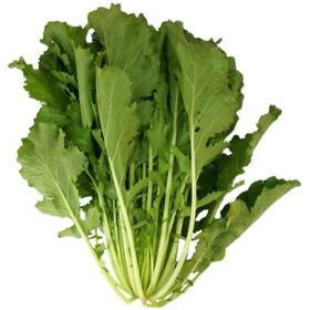 雪里红（约500g）