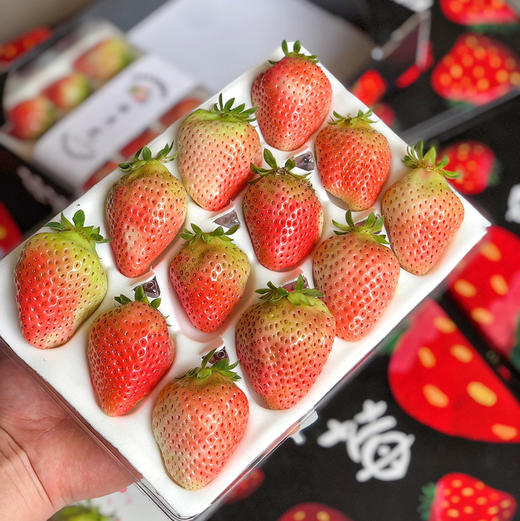 【有仙气的草莓】孕妇儿童放心吃，本地红颜草莓，无膨大剂，无催熟，自然成熟，当季时鲜！！ 商品图9