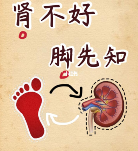 肾不好，脚先知！每天一杯“补肾茶”，益肾、抗衰，补出好肾！ 