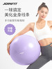 JOINFIT 瑜伽球 商品缩略图0
