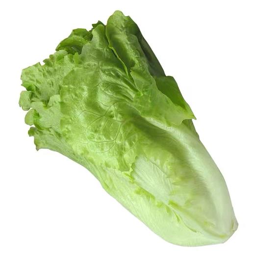 生菜（约500g） 商品图0