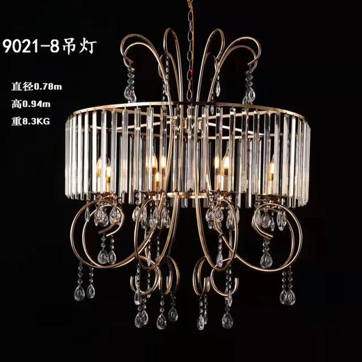 9021-8吊灯（运费自理） 商品图0