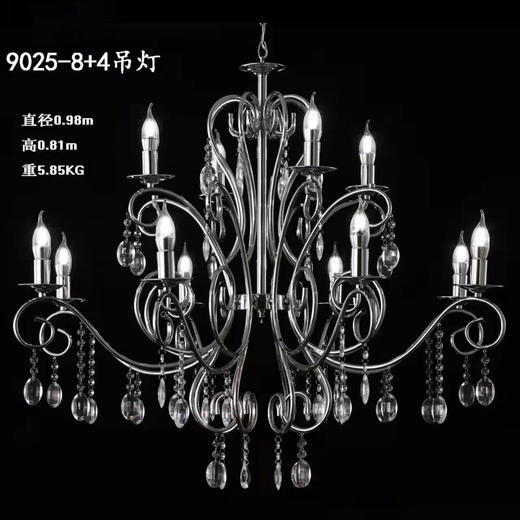 9025-8+4吊灯【运费自理】 商品图0