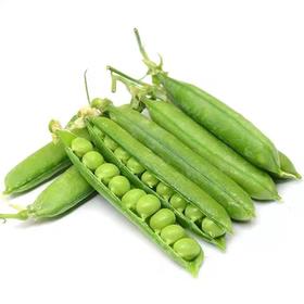 豌豆荚（约500g）