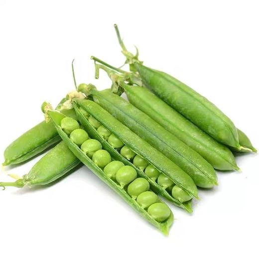 豌豆荚（约500g） 商品图0