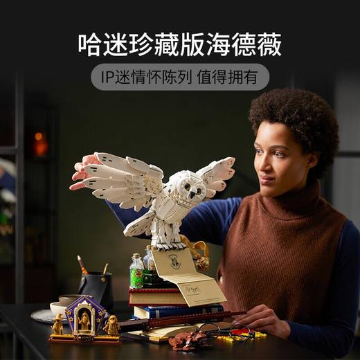 乐高 76391 霍格沃茨经典藏品 海德薇 商品图1