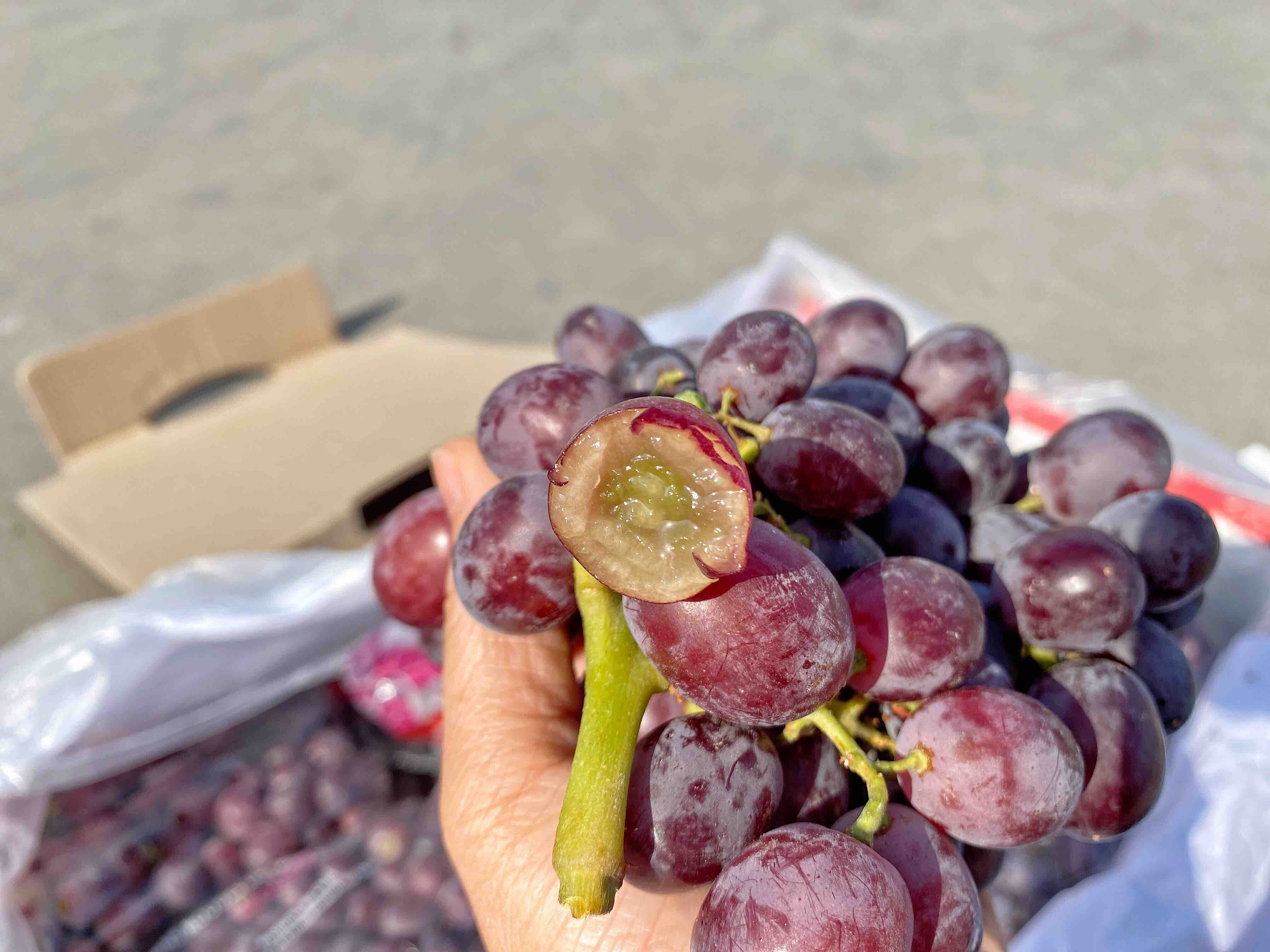 香甜型智利糖果玫瑰香无籽葡萄无核葡萄颗粒小小不是脆口但是带有很浓