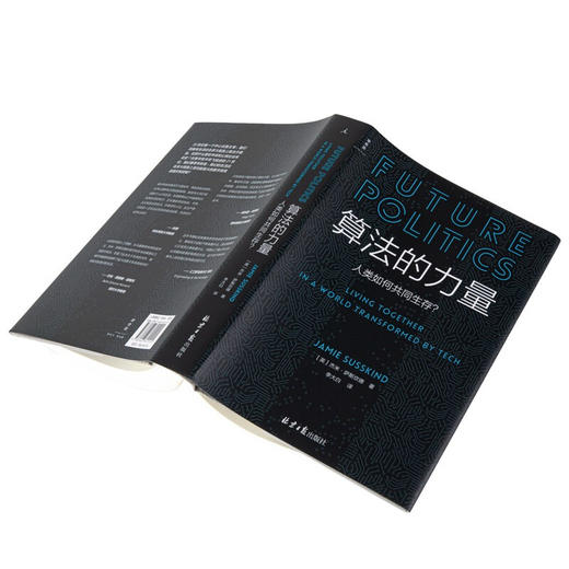 算法的力量 人类如何共同生存 数字时代的政治启蒙读物 杰米萨斯坎德著 政治学家刘擎教授推荐 政治学 社会影响 商品图1
