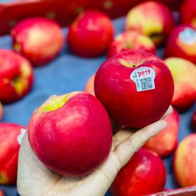 新西兰🇳🇿小花苹果🍎大果（10个）