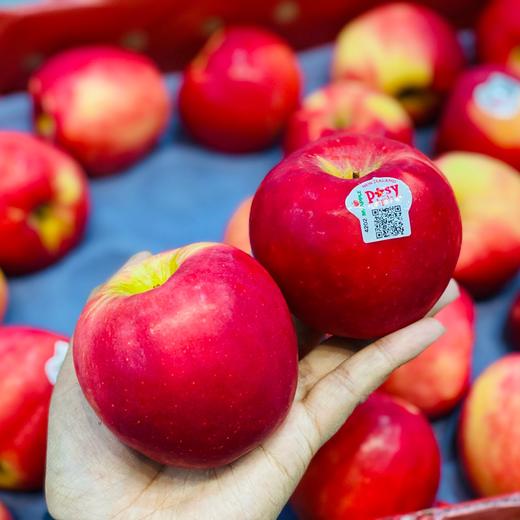 新西兰🇳🇿小花苹果🍎大果（10个） 商品图0