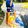 雀巢爱思培力跃6-15岁儿童学生营养奶粉350g 商品缩略图2