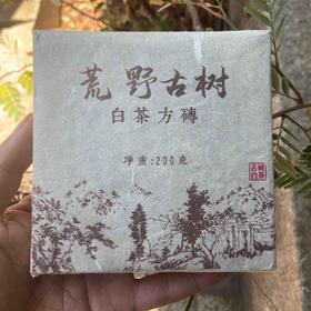 2013年白茶砖茶200克