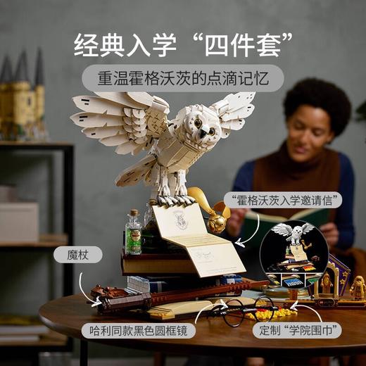 乐高 76391 霍格沃茨经典藏品 海德薇 商品图2