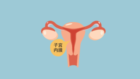  卵巢是女人的年龄开关，注意养护很重要 