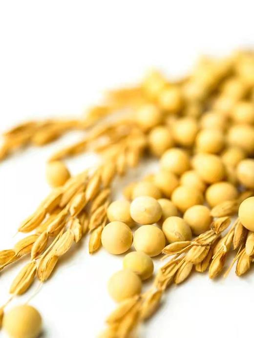 娄家寨 有机黄豆400g*2袋 打豆浆非转基因支持自提 商品图1