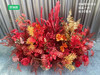 促销款花排（运费自理） 商品缩略图5