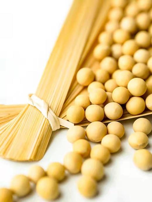 娄家寨 有机黄豆400g*2袋 打豆浆非转基因支持自提 商品图2