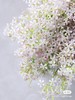 国产花材-【细米花】 商品缩略图0