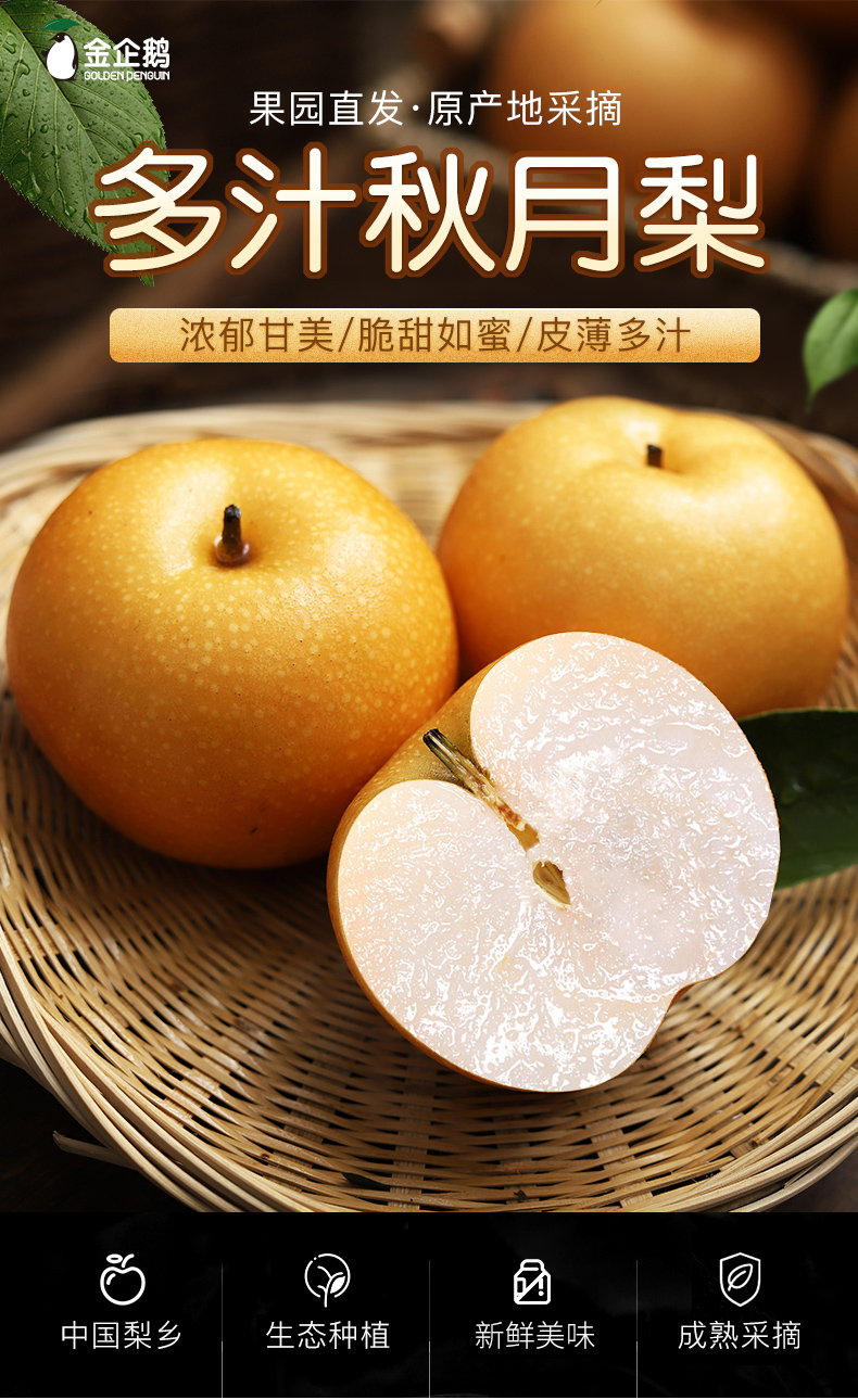 【金企鹅·出口级山东莱阳冰糖秋月梨】一根枝上只留3-5颗的果,多汁无