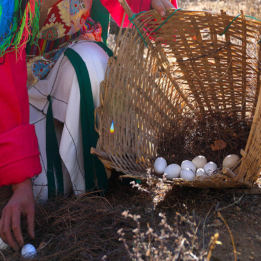 云南迪庆香格里拉 藏鸡蛋25枚装 商品图2