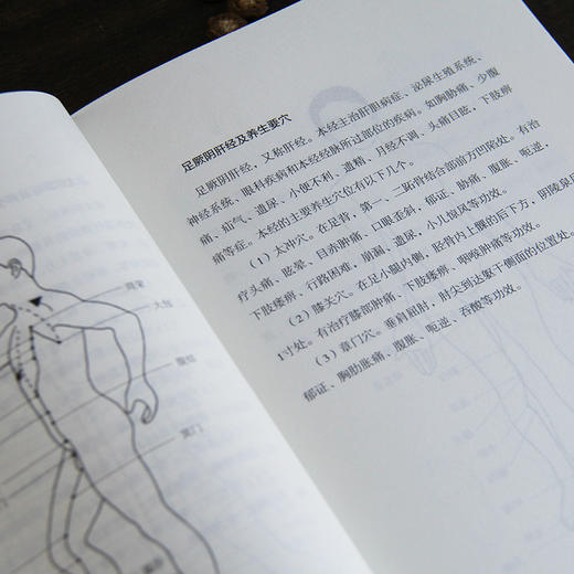 《黄帝内经》中的养生经 商品图4