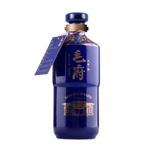 湖南韶山毛府九年-初 商品图1