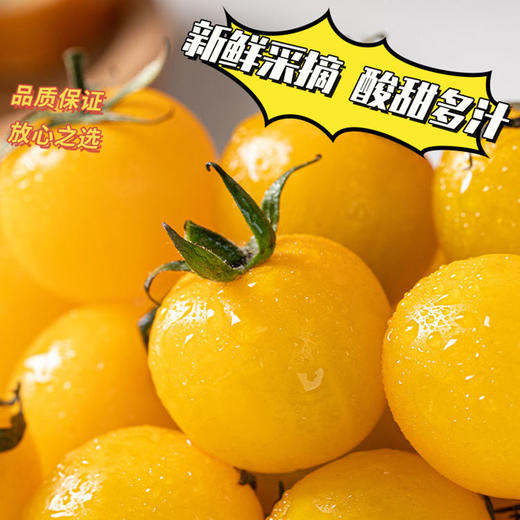 每年就惦记这一口脆爽【柿小愿 多彩小番茄】混水果圈的小番茄 颗颗饱满 晶莹剔透 满口爆汁 根本停不下来！ 商品图10