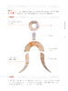 中国古玉图鉴——组玉佩 商品缩略图2