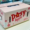 新西兰🇳🇿小花苹果🍎大果（10个） 商品缩略图5