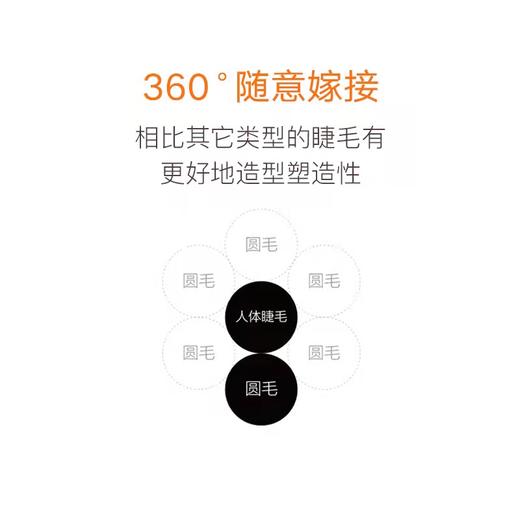 蚕丝蛋白圆毛嫁接睫毛 粗度0.10.0.12翘度B.C 商品图4