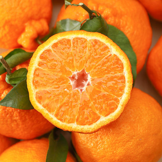 【不知火丑橘 5斤】| 丑得出奇，甜嫩着迷，个大爆汁的不知火丑橘来袭，新鲜现摘现发，吃了太过瘾 商品图0