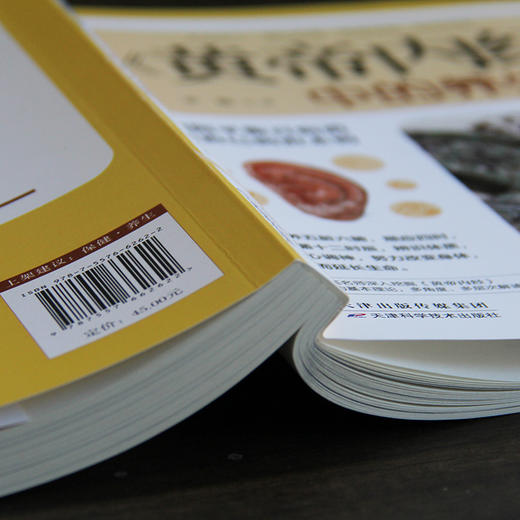 《黄帝内经》中的养生经 商品图5