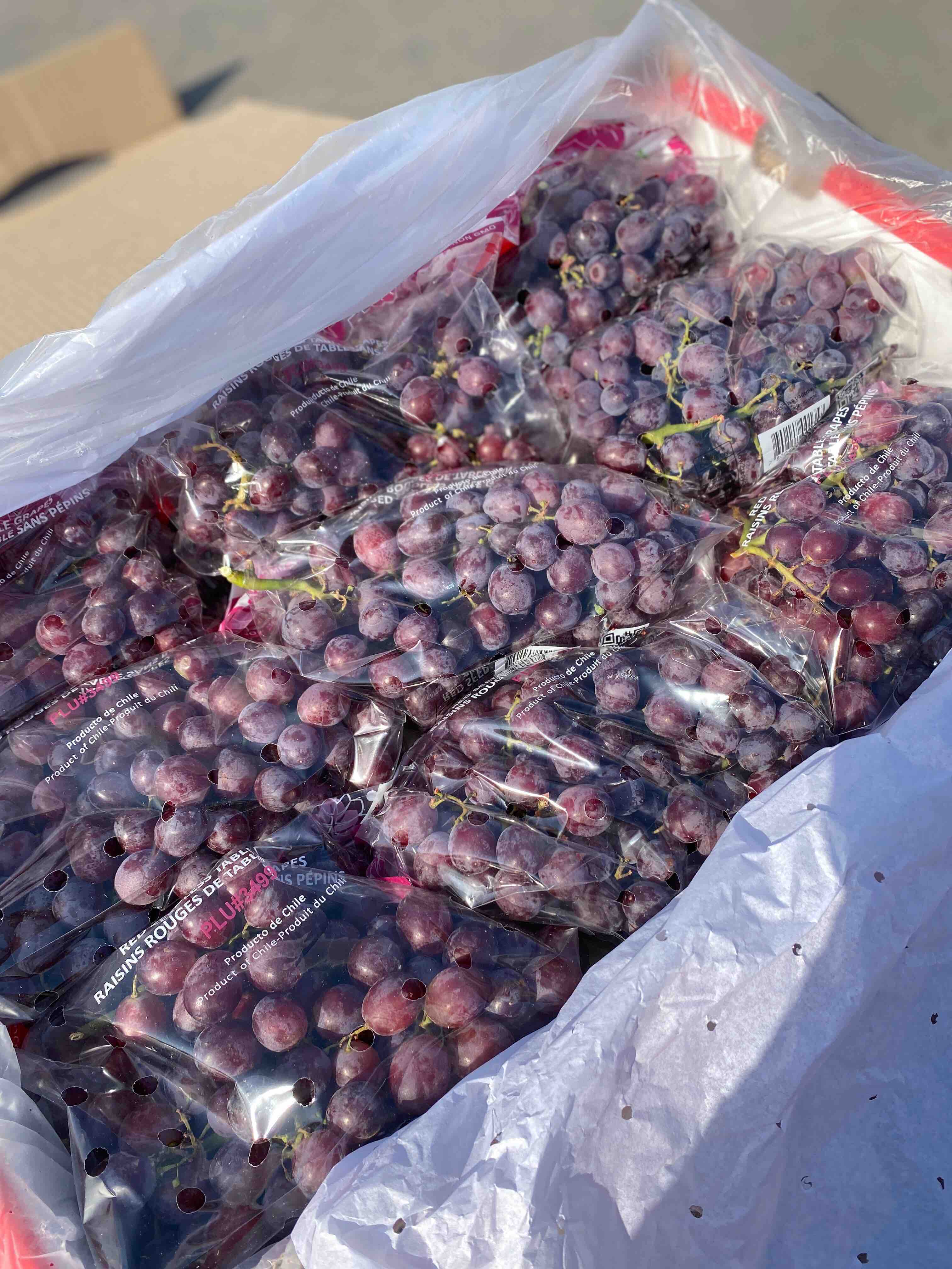 香甜型智利糖果玫瑰香无籽葡萄无核葡萄颗粒小小不是脆口但是带有很浓