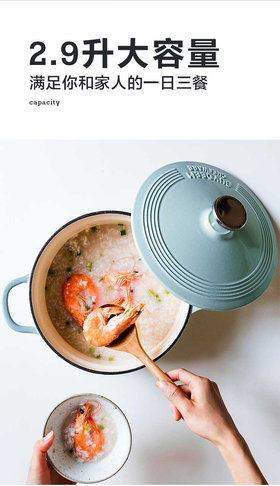  “这口锅，颠覆了我对这类锅具的认识” 