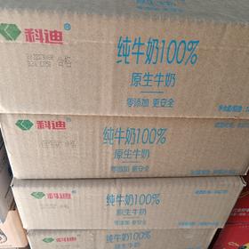 科迪纯牛奶原生枕180ml*16包