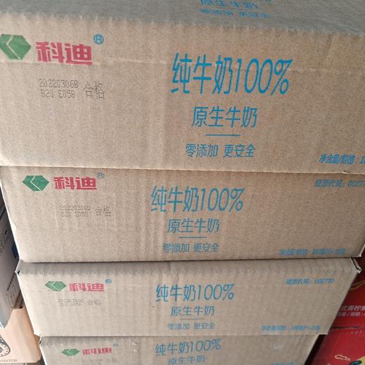 科迪纯牛奶原生枕180ml*16包 商品图0