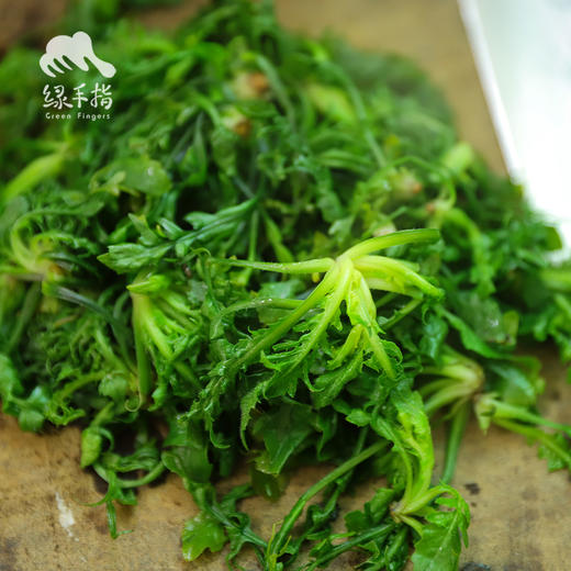 野生菏泽荠菜 | 合作生产*Wild-Heze Shepherd's purse | Coproduction 商品图2