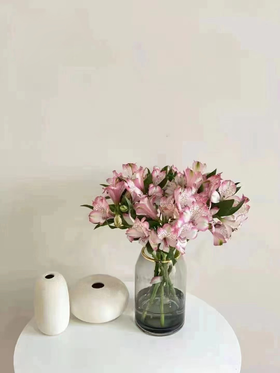 六出花 | 粉白色