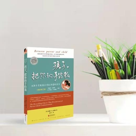 教育孩子的书籍 《孩子把你的手给我》（与孩子实现真正有效沟通的方法新） 商品图2