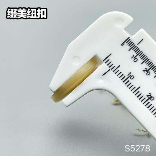 S5278(整包购买) 商品图7