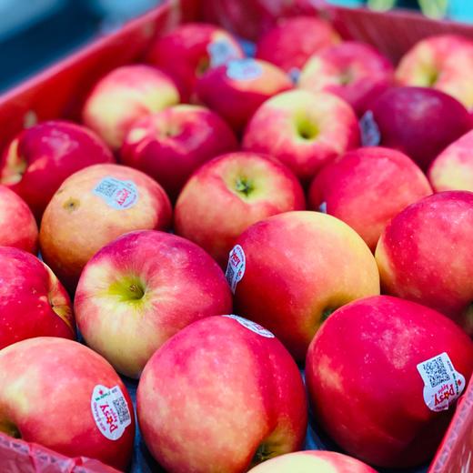 新西兰🇳🇿小花苹果🍎大果（10个） 商品图1